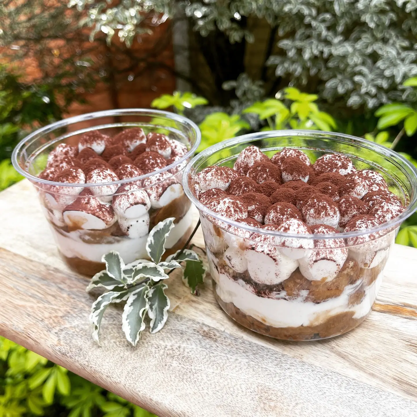 Tiramisu Tiramisu (2 pots) - Image 1